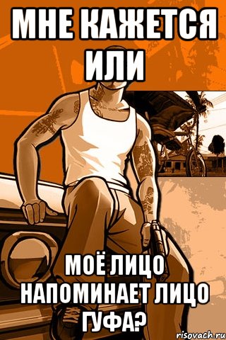 мне кажется или моё лицо напоминает лицо Гуфа?, Мем GTA