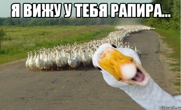 Я вижу у тебя рапира... , Мем гуси