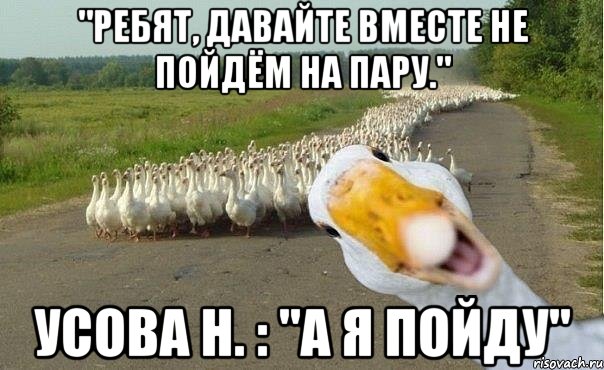 "Ребят, давайте вместе не пойдём на пару." Усова Н. : "А я пойду", Мем гуси