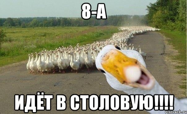 8-А идёт в столовую!!!!, Мем гуси