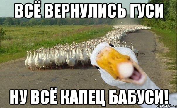 Всё вернулись гуси ну всё капец бабуси!, Мем гуси