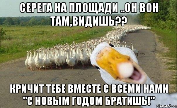 Серега на площади ..он вон там,видишь?? кричит тебе вместе с всеми нами "с новым годом братишь!", Мем гуси