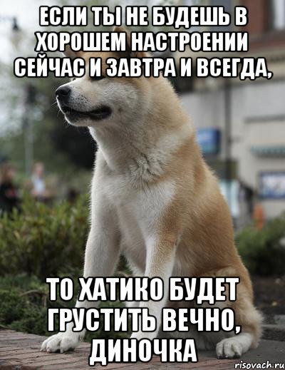 Если ты не будешь в хорошем настроении сейчас и завтра и всегда, то хатико будет грустить вечно, Диночка, Мем  Хатико ждет