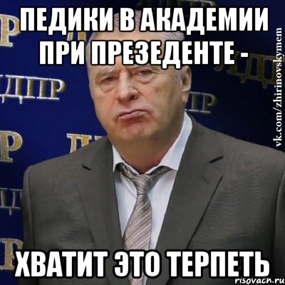 педики в академии при презеденте - хватит это терпеть, Мем Хватит это терпеть (Жириновский)