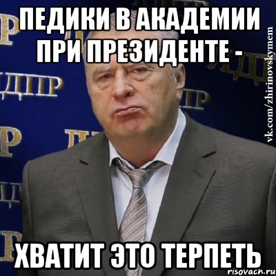 педики в академии при президенте - хватит это терпеть, Мем Хватит это терпеть (Жириновский)