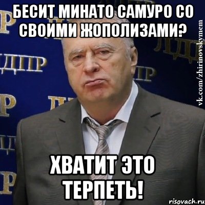 Бесит Минато Самуро со своими жополизами? Хватит это терпеть!, Мем Хватит это терпеть (Жириновский)