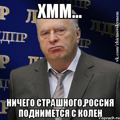 Хмм... Ничего страшного,россия поднимется с колен, Мем Хватит это терпеть (Жириновский)