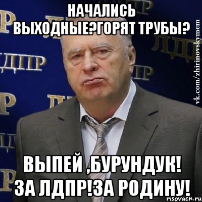 начались выходные?горят трубы? выпей ,бурундук! за лдпр!за родину!, Мем Хватит это терпеть (Жириновский)