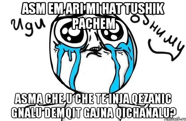 ASM EM ARI MI HAT TUSHIK PACHEM ASMA CHE U CHE TE INJA QEZANIC GNALU DEMQIT GAJNA QICHANALU?, Мем Иди обниму