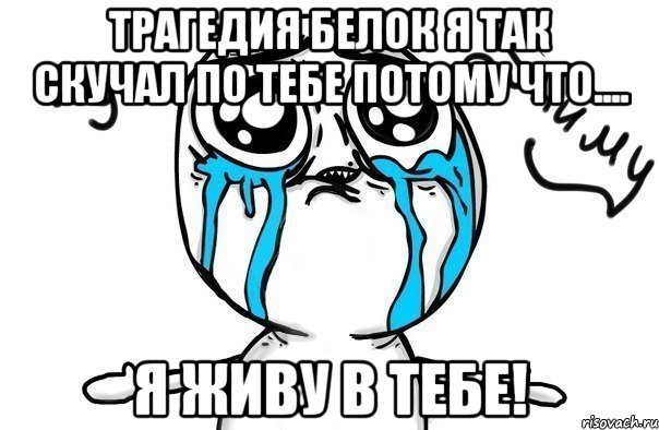 Трагедия белок я так скучал по тебе потому что.... я живу в тебе!, Мем Иди обниму