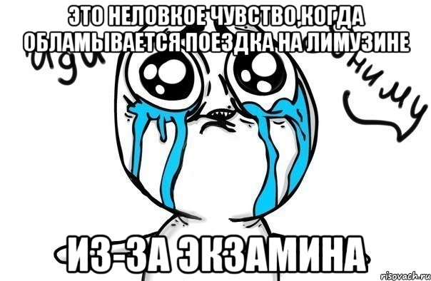 это неловкое чувство,когда обламывается поездка на лимузине ИЗ-ЗА ЭКЗАМИНА, Мем Иди обниму