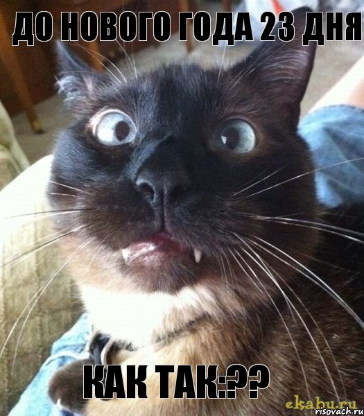 До нового года 23 дня как так:??