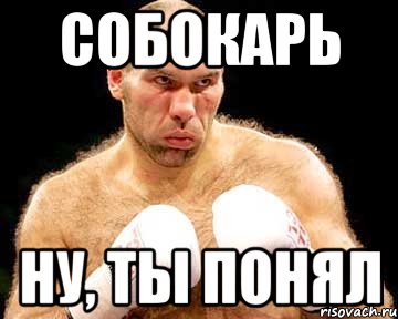 СОБОКАРЬ НУ, ТЫ ПОНЯЛ, Мем каменная голова