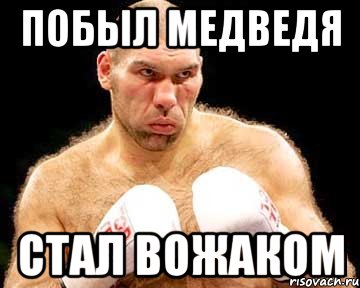 Побыл медведя стал вожаком, Мем каменная голова