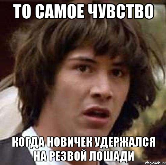 То самое чувство Когда новичек удержался на резвой лошади, Мем А что если (Киану Ривз)