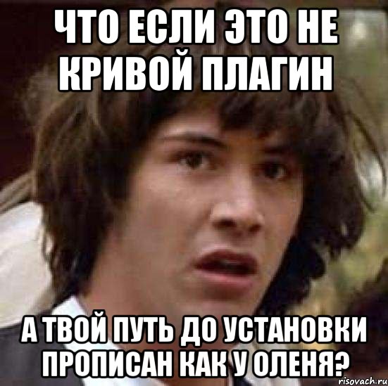 Что если это не кривой плагин а твой путь до установки прописан как у оленя?, Мем А что если (Киану Ривз)