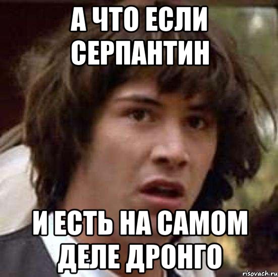 А что если Серпантин и есть на самом деле Дронго, Мем А что если (Киану Ривз)