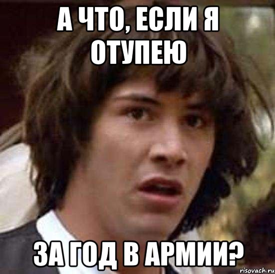 а что, если я отупею за год в армии?, Мем А что если (Киану Ривз)