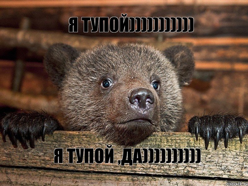 я тупой))))))))))) я тупой ,Да)))))))))), Комикс книжки