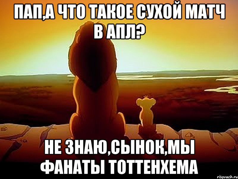 ПАП,А ЧТО ТАКОЕ СУХОЙ МАТЧ В АПЛ? НЕ ЗНАЮ,СЫНОК,МЫ ФАНАТЫ ТОТТЕНХЕМА, Мем  король лев