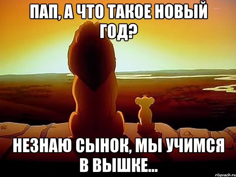 Пап, а что такое новый год? Незнаю сынок, мы учимся в вышке..., Мем  король лев