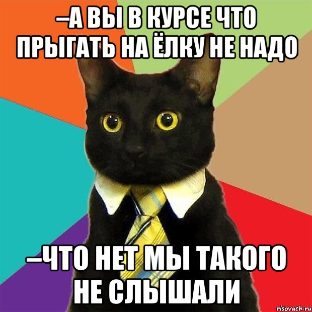 –А вы в курсе что прыгать на ёлку не надо –Что нет мы такого не слышали, Мем  Кошечка