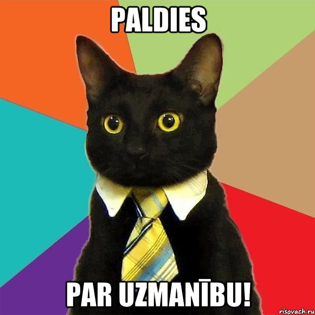 Paldies par uzmanību!, Мем  Кошечка