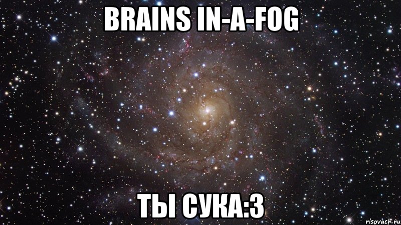 Brains In-A-Fog Ты сука:3, Мем  Космос (офигенно)