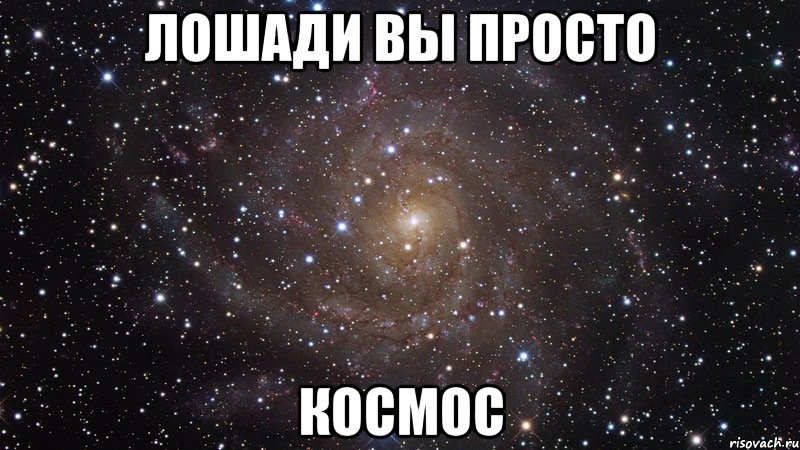 Лошади вы просто Космос, Мем  Космос (офигенно)