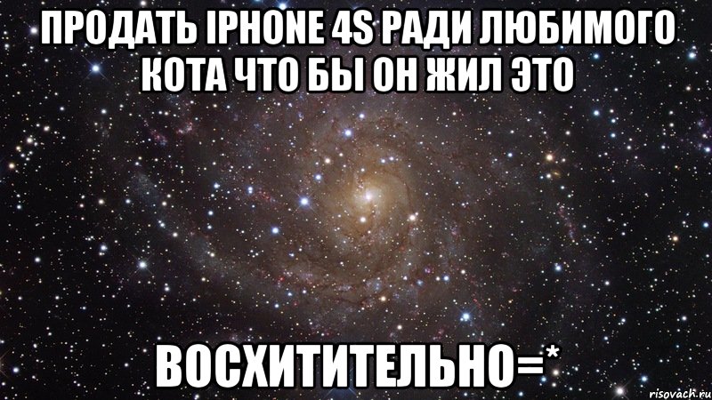 Продать iPhone 4S ради любимого кота что бы он жил это восхитительно=*, Мем  Космос (офигенно)