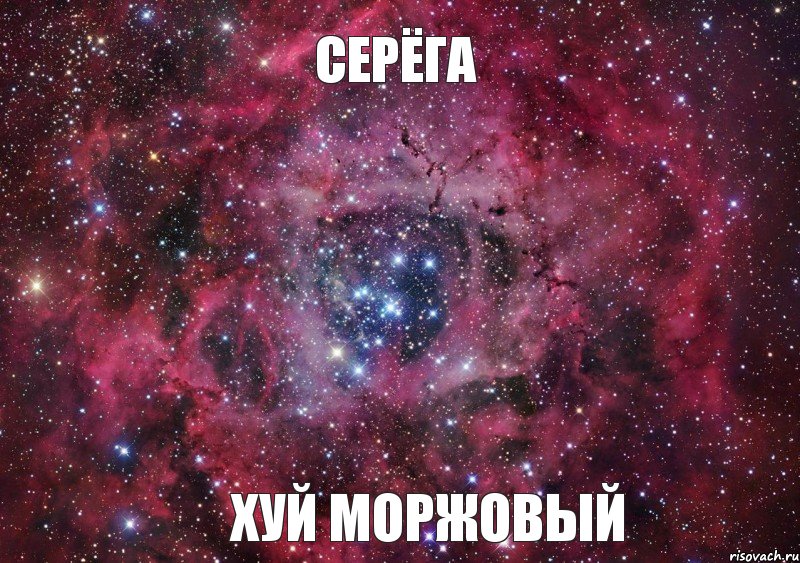 Серёга Хуй моржовый, Мем Ты просто космос