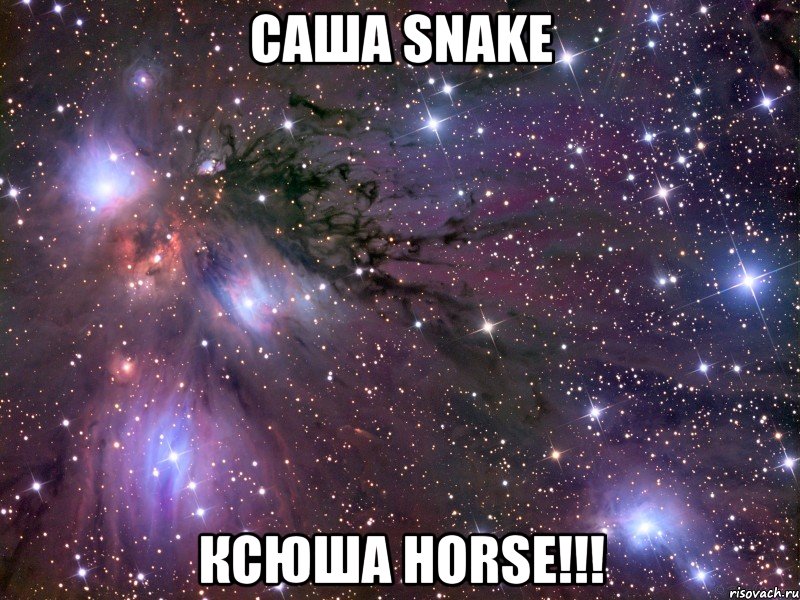 Саша snake Ксюша horse!!!, Мем Космос