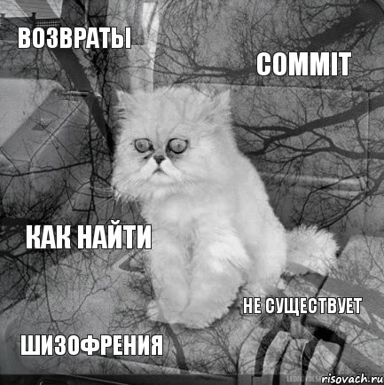 возвраты COMMIT шизофрения не существует как найти