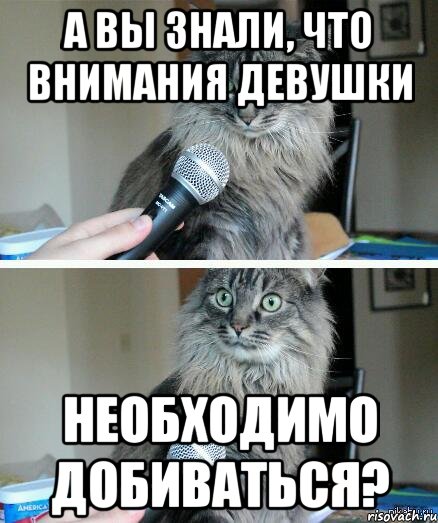 а вы знали, что внимания девушки необходимо добиваться?, Комикс  кот с микрофоном