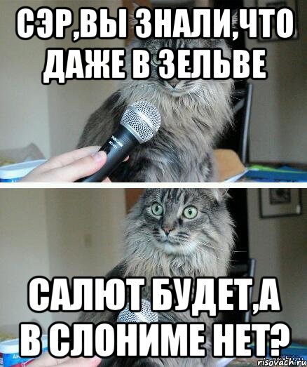 Сэр,вы знали,что даже в Зельве салют будет,а в Слониме нет?, Комикс  кот с микрофоном