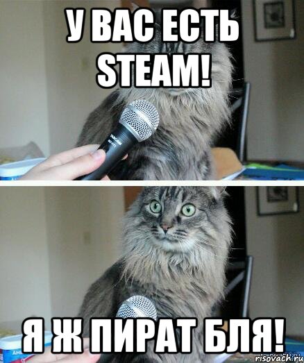 У вас есть Steam! Я ж пират бля!, Комикс  кот с микрофоном