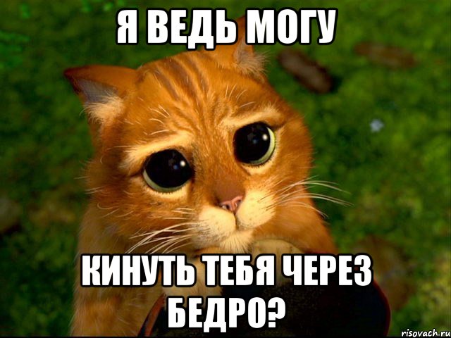 я ведь могу кинуть тебя через бедро?, Мем кот из шрека