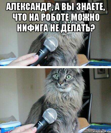 Александр, а вы знаете, что на роботе можно нифига не делать? , Комикс  кот с микрофоном