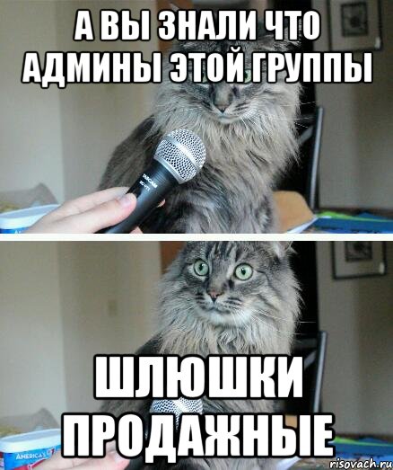 а вы знали что админы этой группы шлюшки продажные, Комикс  кот с микрофоном