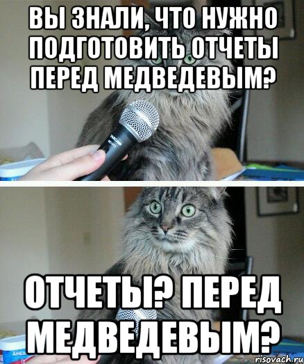 ВЫ ЗНАЛИ, ЧТО НУЖНО ПОДГОТОВИТЬ ОТЧЕТЫ ПЕРЕД МЕДВЕДЕВЫМ? ОТЧЕТЫ? ПЕРЕД МЕДВЕДЕВЫМ?, Комикс  кот с микрофоном