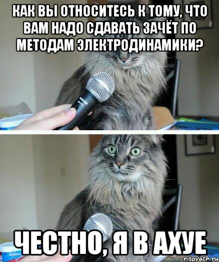 Как вы относитесь к тому, что вам надо сдавать зачёт по методам электродинамики? честно, я в ахуе, Комикс  кот с микрофоном