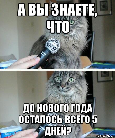 А вы знаете, что до Нового года осталось всего 5 дней?, Комикс  кот с микрофоном