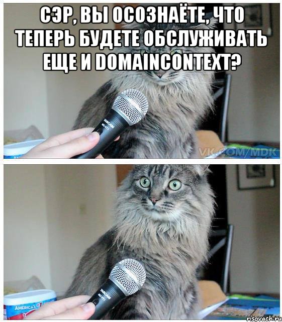 сэр, вы осознаёте, что теперь будете обслуживать еще и Domaincontext? , Комикс  кот с микрофоном