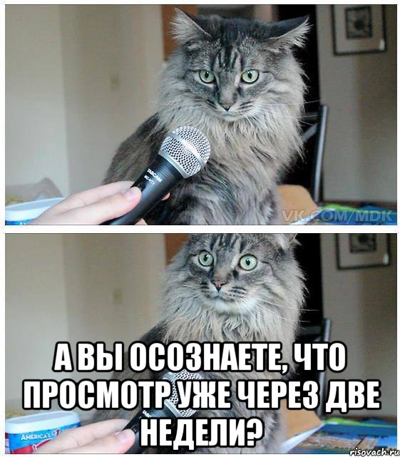  А вы осознаете, что просмотр уже через две недели?, Комикс  кот с микрофоном