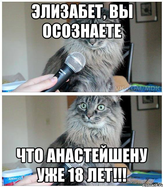 ЭЛИЗАБЕТ, ВЫ ОСОЗНАЕТЕ ЧТО АНАСТЕЙШЕНУ УЖЕ 18 ЛЕТ!!!, Комикс  кот с микрофоном