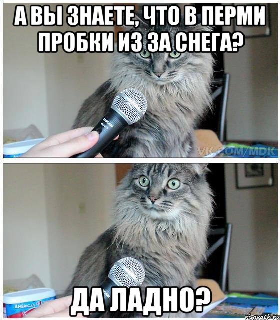 А вы знаете, что в Перми пробки из за снега? Да ладно?, Комикс  кот с микрофоном