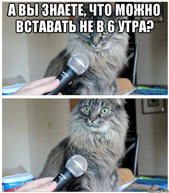 А вы знаете, что можно вставать не в 6 утра? , Комикс  кот с микрофоном