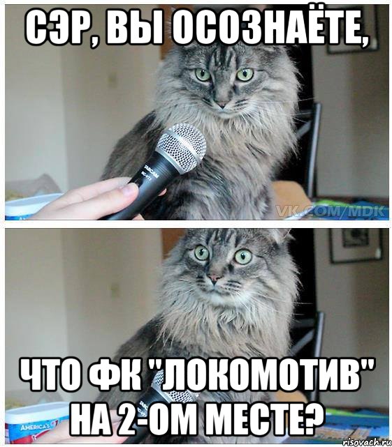 Сэр, вы осознаёте, Что ФК "Локомотив" на 2-ом месте?, Комикс  кот с микрофоном