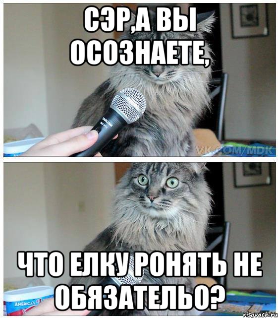 сэр,а вы осознаете, что елку ронять не обязательо?, Комикс  кот с микрофоном