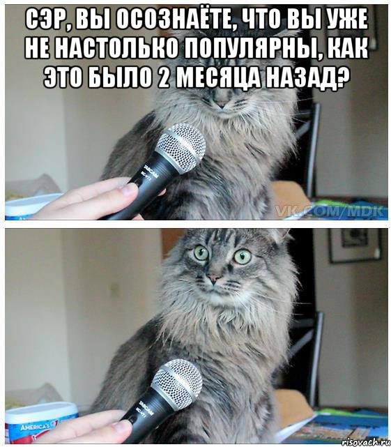 Сэр, вы осознаёте, что вы уже не настолько популярны, как это было 2 месяца назад? , Комикс  кот с микрофоном